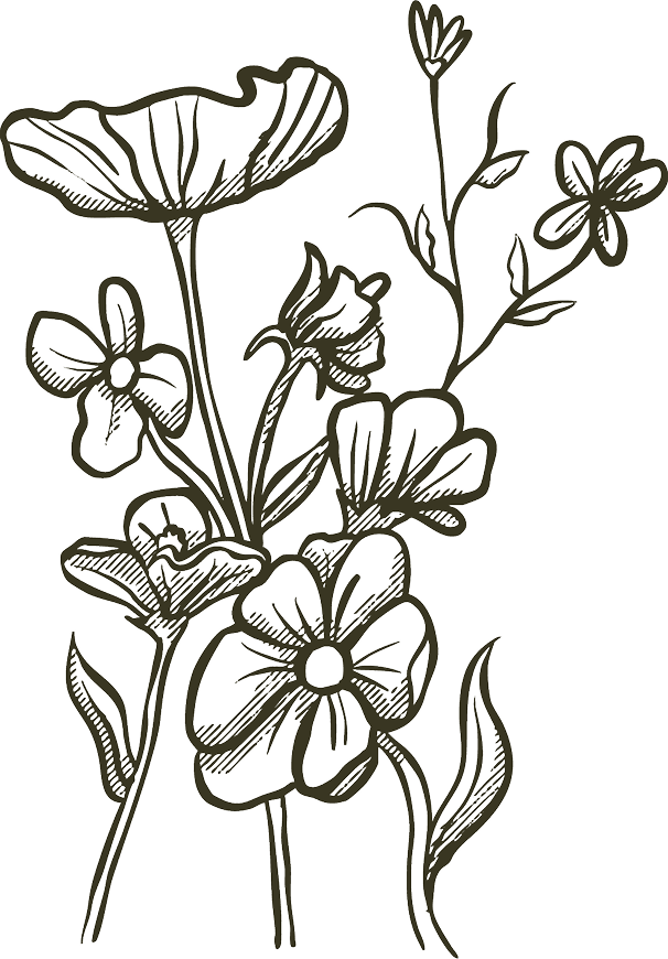 decoration